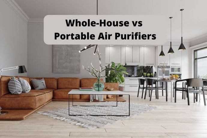 Whole-House vs Portable Air Purifiers