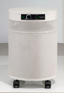 Airpura R600 Cream Air Purifier for Allergy, Better Sleep and All Purpose